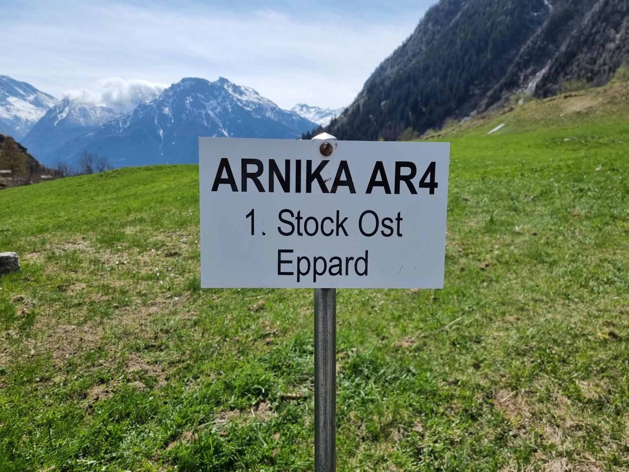 Arnika Leilighet Blatten bei Naters Rom bilde
