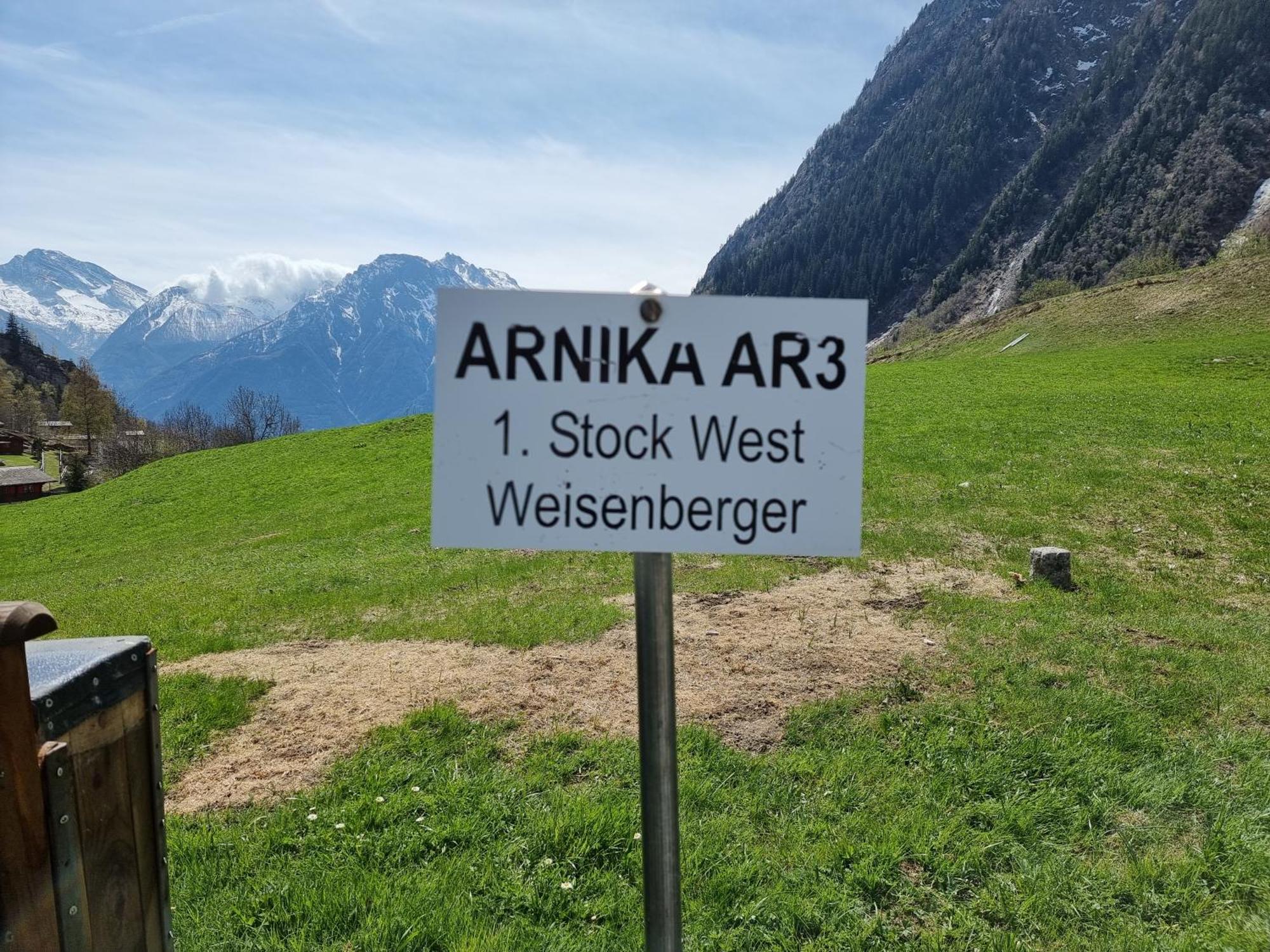 Arnika Leilighet Blatten bei Naters Rom bilde